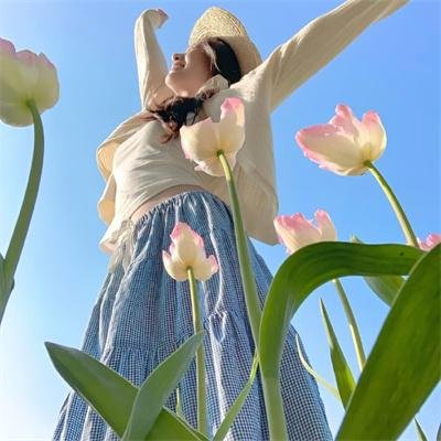 欢舞狂歌 海报